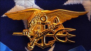 Navy SEAL Team 6 member charged in sexting case