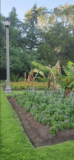 Hidden Gem! Jackson Park Windsor Looks Magical in Summer Evenings