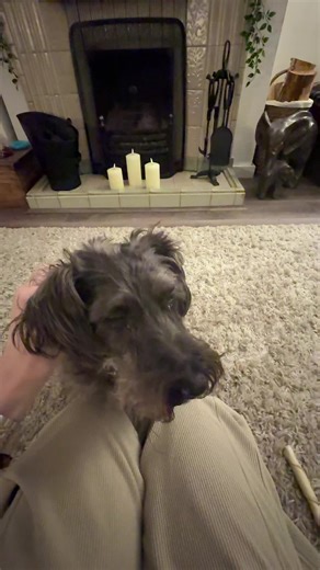 I absolutely love these wax LED candles….. they brighten up the fireplace when we don’t have a fire going. Remote controlled also with is fab. #led #ledcandles #ad #fire #remotecontrol