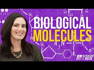 Introduction to Biological Molecules - You Are What You Eat!