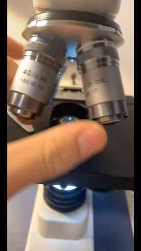 This Is What Happens to Everyday Things Under Magnification