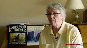 MIND-BLOWING Labrador Secrets Revealed by Pro Breeders