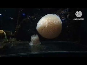 2024.9月 山形旅行