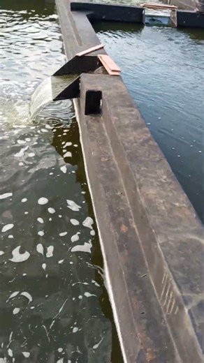 Kolam RAS Ikan Nila Minimalis Modern, Hemat Air & Untung Maksimal