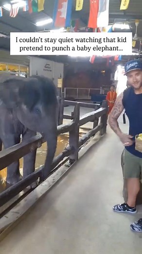 Somewhere in Asia Watch this elephant’s reaction when the young worker makes a threatening motion toward it. Immediate fear. This elephant is used to this treatment. The woman speaks up, and we’re glad she did. But here’s the reality: by being there, she’s fueling the system that allows this cruelty. For everyone who visits places like this - it is that money and support that fuels the prison and the system that confines these animals. Every ticket purchased keeps these places open. Every visito