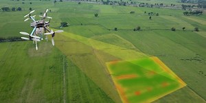 Spraying by drone is still illegal in Canada. Here's why