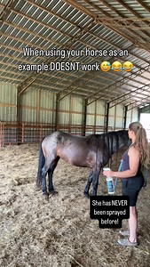 Today I was trying to make a tutorial on how to teach a horse to stand to be fly sprayed-but Reigna kinda made that pointless😂😂 She had ZERO reaction!! And while I’m proud of her, it kinda ruins the point of showing people how to train it🤪😂😂 | Talia’s Mustangs