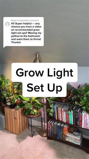 Indoor Grow Light Setup for Houseplants