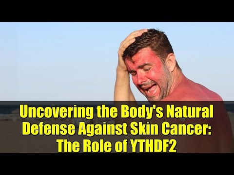 Uncovering the Body's Natural Defense Against Skin Cancer: The Role of YTHDF2