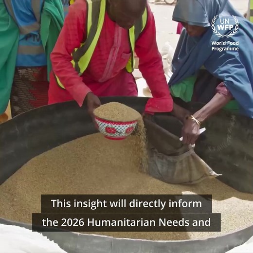 📍#Nigeria 💻 Empowering analysis through connectivity: ETS supported the Cadre Harmonisé—a regional framework led by national and international partners to assess acute food and nutrition insecurity—by providing tailored digital solutions. This enabled real-time access to online tools, live streaming of sessions, and seamless data extraction. 🎯 The result? A stronger evidence base to help identify the number of people in need across Nigeria for 2026. 🎥 Watch the ETS in action 👇 | Emergency T