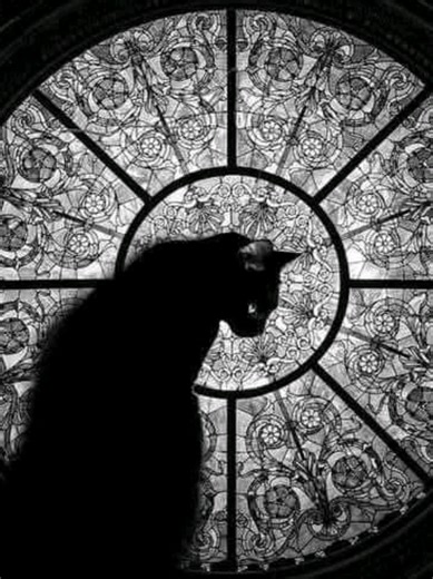 Maximize Your Memory: Techniques for Total Retention