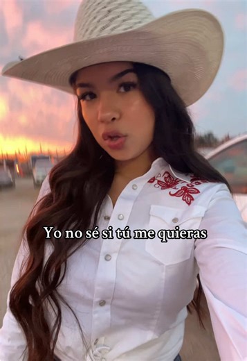 Chalino Sánchez: Best Songs and Iconic Videos