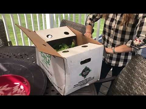 How to Roast Hatch Green Chile on a Grill