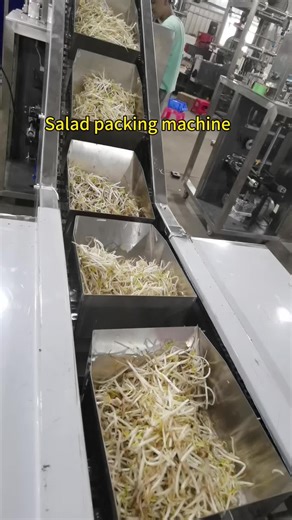 Automated Salad Packing Machine for Efficient Vegetable Packaging