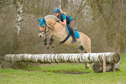 How sustainable is equine insurance? The experts explain...