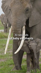 299K views · 2.4K reactions | Unwind with some #FunFriday vibes!...