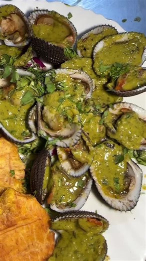 Discovering Guayaquil: A Taste of Ecuador