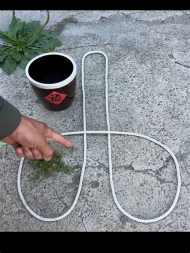 Easy Hanging Knot Tutorial for Planters