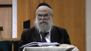 Parshah Insights: Shemini - Torah Interpretations of the Rebbe