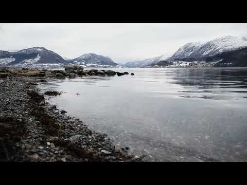 Real Norwegian Nature Sounds: 3 Hours of Calm Waves & Gray Skies (No Music, No Talking, No AI)
