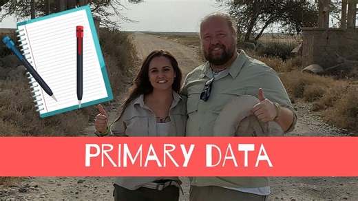 Primary Research Data Explained: The Pros & Cons of Marketing Research