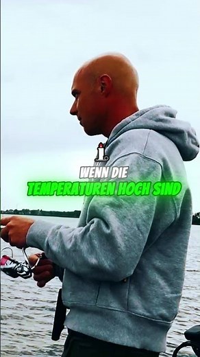 Angelweisheit am Rhein 🎣 – Tipps und Tricks für erfolgreiche Fänge! 🌊