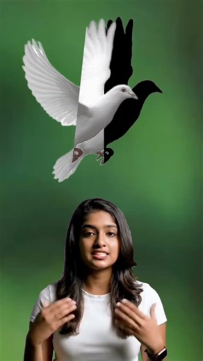 Find the Hidden Object in 10 Seconds! 🔎 #usa #USAAmerica