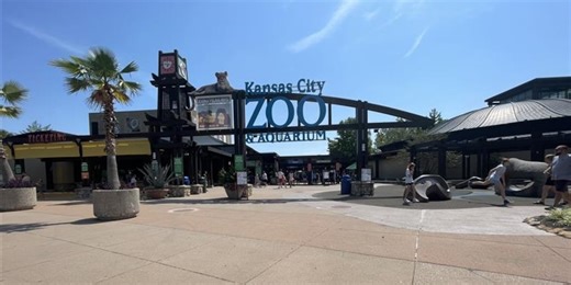 This Day in History: The Kansas City Zoo opens for visitors