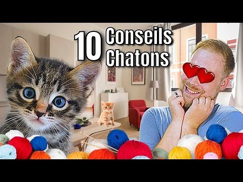 10 TIPS before adopting your KITTEN! 🐈 [ ANI' MOOD ]