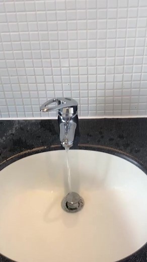 Jamie Big Sorrel Horse Dancing Compilation