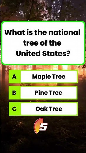 Only 1% Know 🤯 What is the National Tree of the United States?|USA Tree Quiz 🌳|Maple vs Pine vs Oak🌿