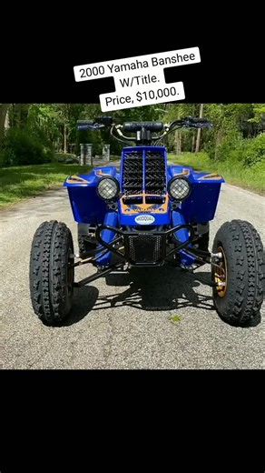 Felix_Banshee_777 on TikTok