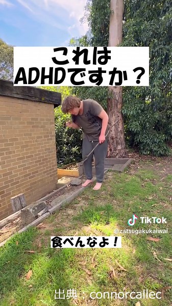 TikTokでadhdhaeverydayさんをチェック！