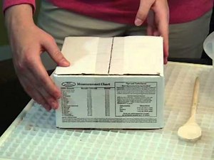 How to Make a Mosaic Stepping Stone