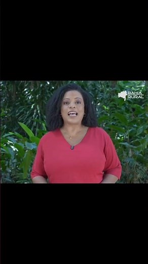 BAHIA RURAL: TOO MANY ORANGES, NOT ENOUGH MONEY! 😱 BAHIA FARMERS FEAR LOSSES