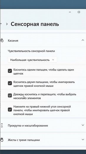 Тачпад сенсорная панель настройка в Windows 11