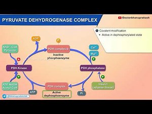 Pyruvate Dehydrogenase Complex (PDC) : Medical Biochemistry / USMLE