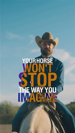 Join my online training program, Reining Masterclass! Use code RM10 for 10% off any subscription.
