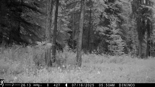 25K views · 189 reactions | SOUND UP! (And focus on the background in...