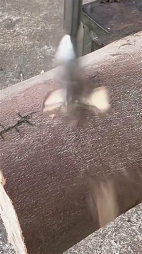 Drilling a precise hole into a wooden log using a spade bit to create a deep circular opening