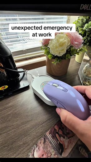 Unexpected Chicken Situation at Work: Tips to Avoid Login Timeout