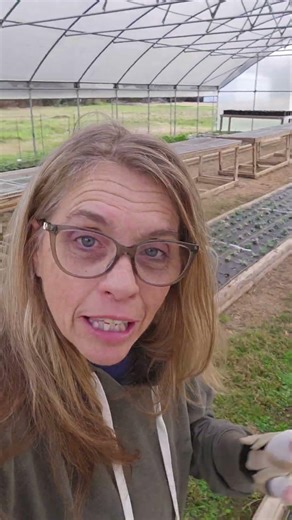 Spring is in the air and snapdragons are snapping!