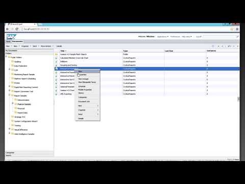SAP Business Objects BI Launchpad Overview