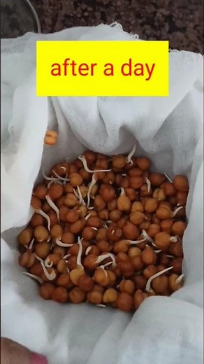 How to sprout chickpeas recipe step by step .#viralshort