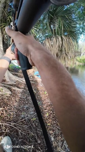 ALPHA IGUANA Gives K9 a FIGHT! #iguana #iguanahunting #workingdog #invasivespecies #hunting #k9