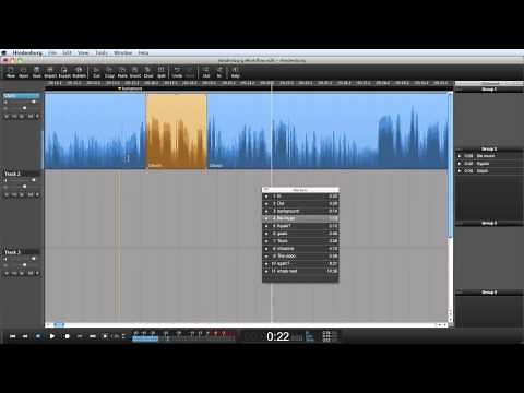 Hindenburg tutorial - Organize