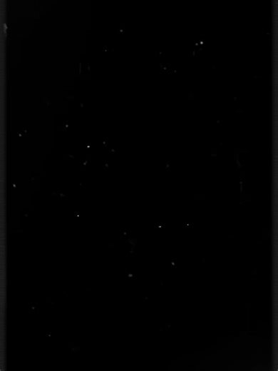 Song of Kings: The Anticipated Sri Lankan Game Everyone's Talking About