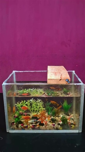 Best School Activity Ideas for Classrooms