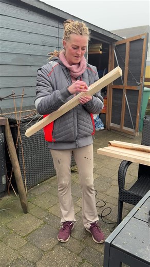 Life on the Hen Farm: A Humorous Take