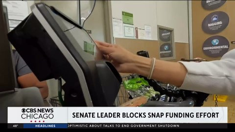 Senate leader blocks funding effort for SNAP benefits